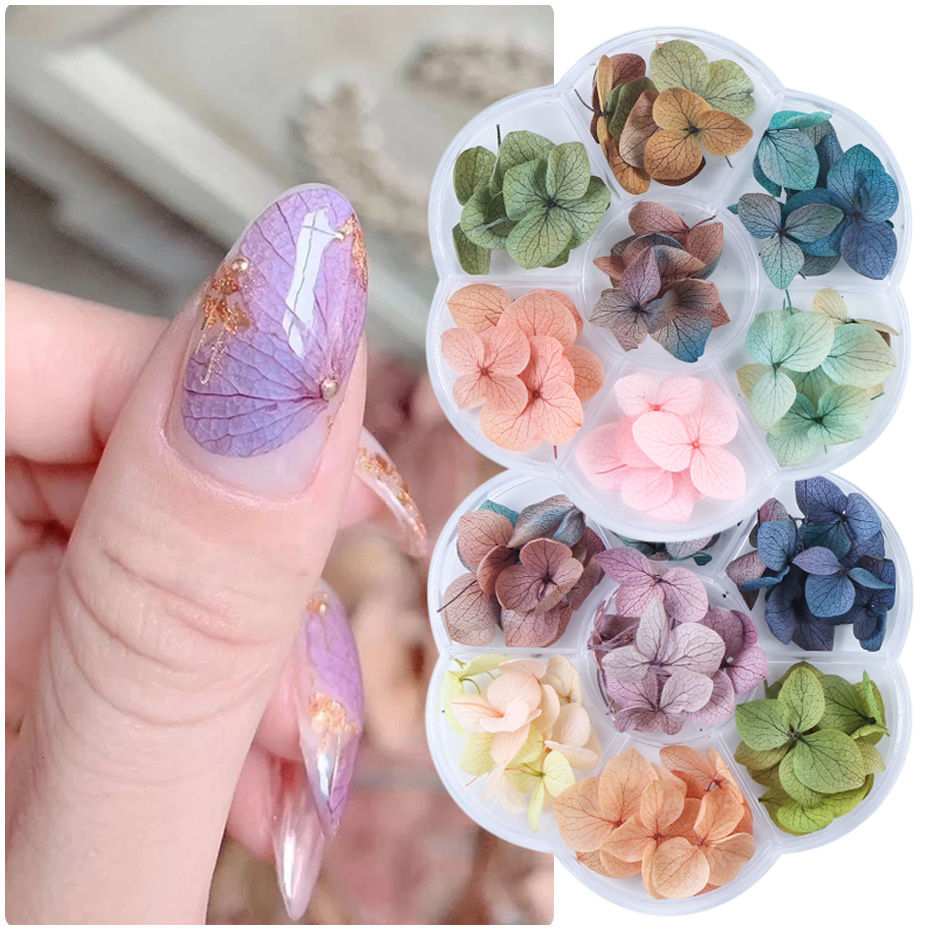 Hoa Khô Nail Màu Sắc